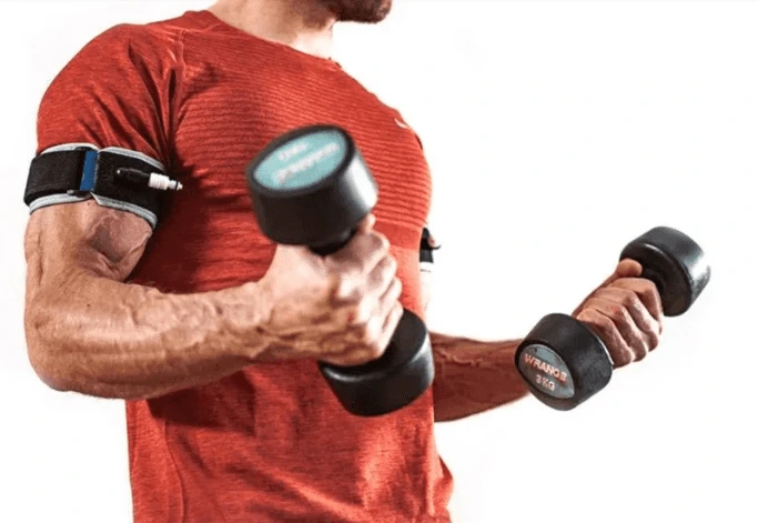 Workout For Muscle Gain
